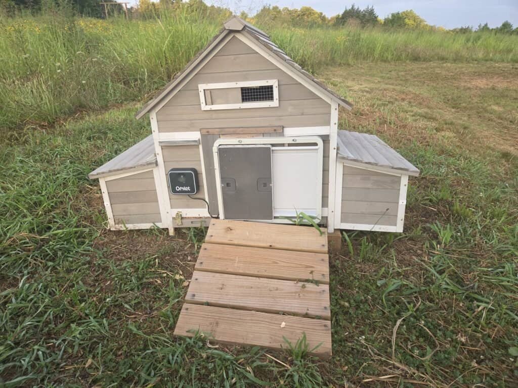 Small gray duck coop with an Omlet automatic door and a wooden entry ramp