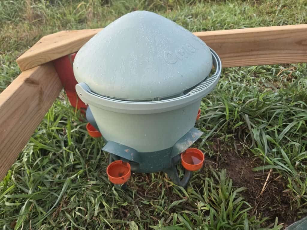 Omlet insulated waterer with gravity-fed drinking cups for ducks