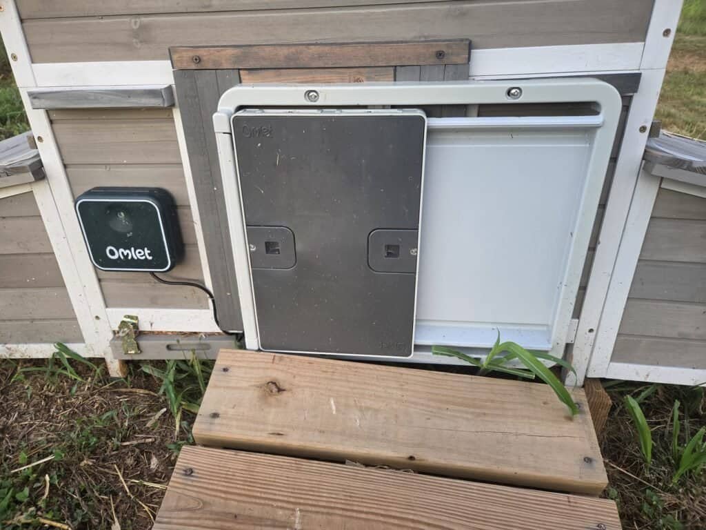 Omlet automatic duck coop door installed above a wooden ramp