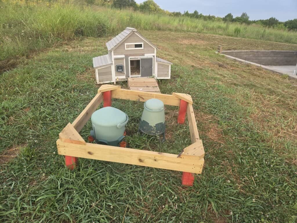 Pig defense frame around duck feeder and waterer with the duck coop in the background